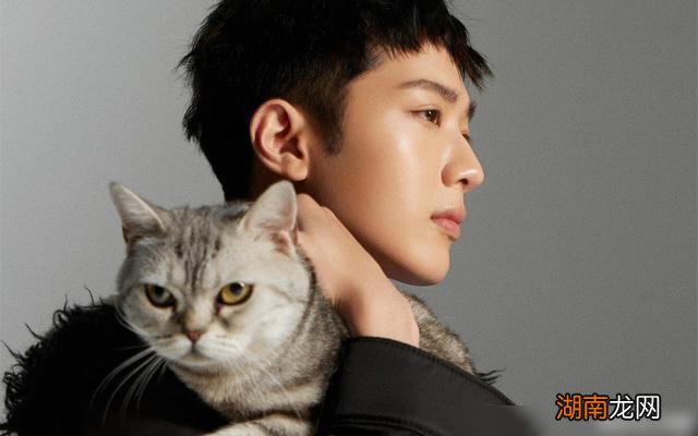 情感挽回方法和技巧恋爱情感分析