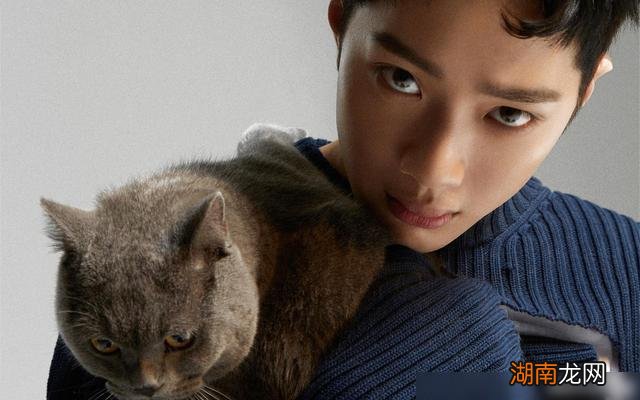 情感挽回方法和技巧恋爱情感分析