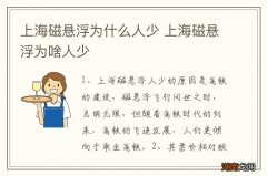 上海磁悬浮为什么人少 上海磁悬浮为啥人少