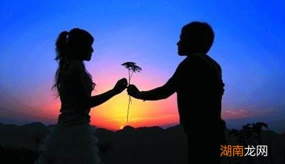 理智与情感的人物介绍