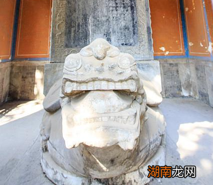 五子胤祺明明很有实力 他为什么不参与康熙晚年的九子夺嫡