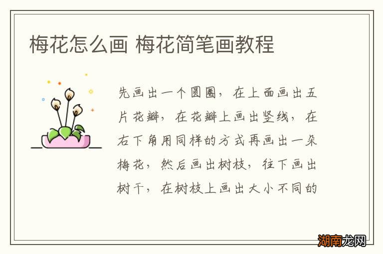 梅花怎么画 梅花简笔画教程