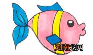 小鱼怎么画 小鱼简笔画教程