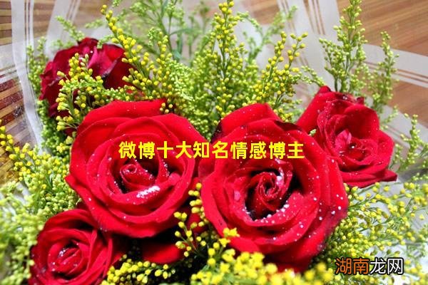 微博十大知名情感博主