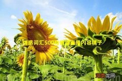 情感词汇500句情感直播内容稿子