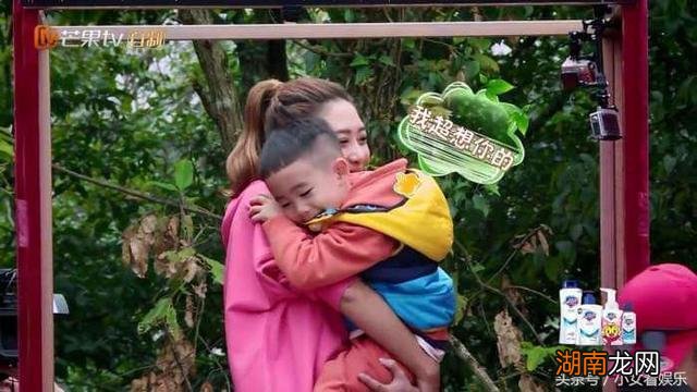 带情的二字词语八声甘州主要情感内容