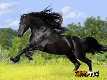 古代南方和比方相比 北方战斗力为何比南方要强