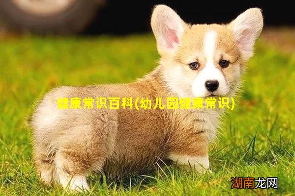 幼儿园健康常识 健康常识百科