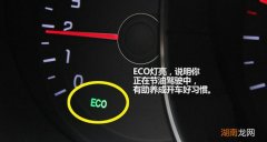 车上显示eco绿灯是什么意思