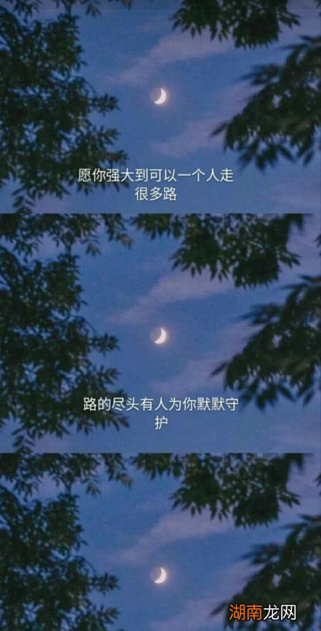 情感挽回短信每日一句情感心语