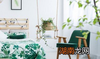 卧室适合放什么绿植 卧室适合放哪些绿植
