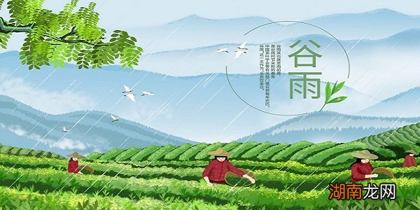 阿虎影视情感电影