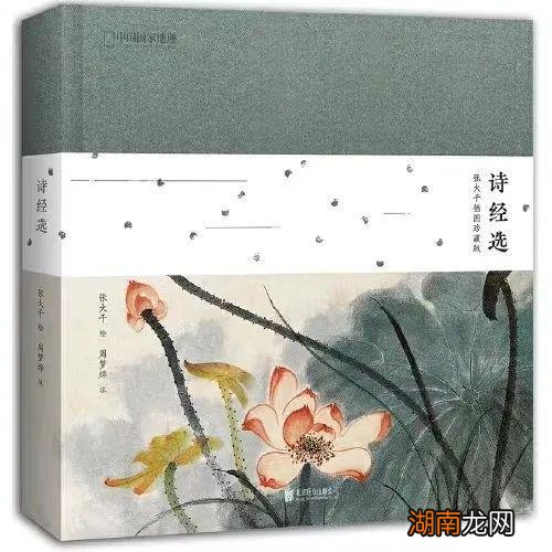 情感类自媒体简介男女之间真正的感情