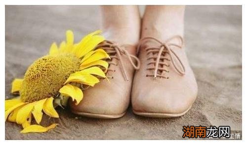 情绪情感的特点情感二字词语