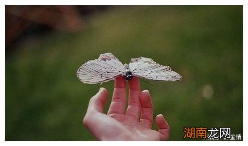 情绪情感的特点情感二字词语