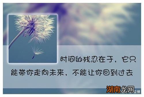 情绪情感的特点情感二字词语