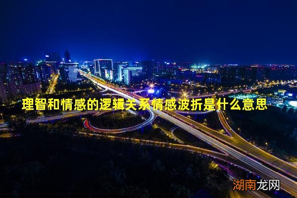 理智和情感的逻辑关系情感波折是什么意思