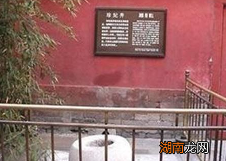 珍妃井连头都塞不下去 珍妃当初是怎么被推下去的