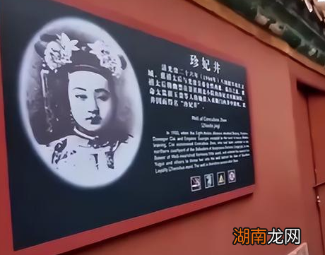 珍妃井连头都塞不下去 珍妃当初是怎么被推下去的