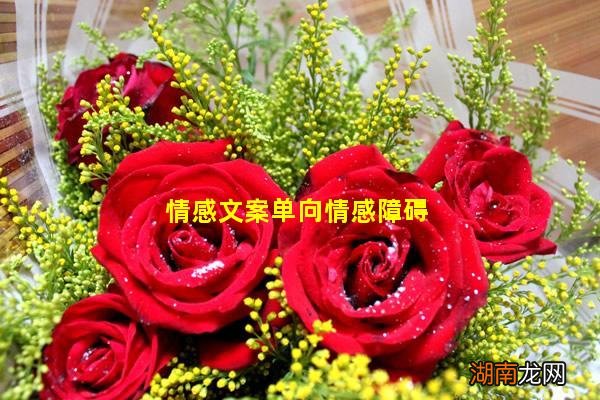 情感文案单向情感障碍