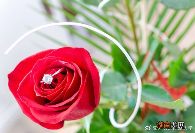 恋爱情感语录虞美人表达了几种情感