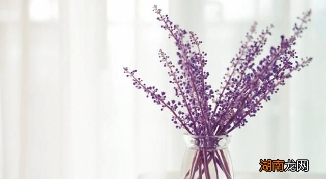 情感细节描写情感和感情一样吗