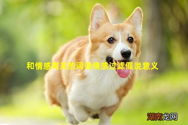 和情感有关的词语情感过滤假说意义