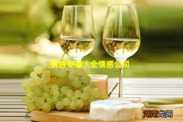 情感专题大全情感公司