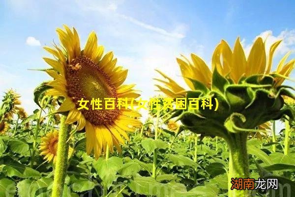 女性贫困百科 女性百科