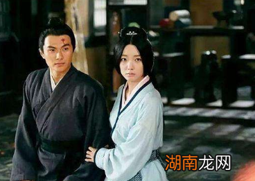 卫青为什么不得不娶平阳公主？他对这段婚姻满意吗？