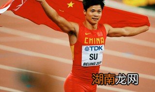 苏炳添简介资料 苏炳添有什么资料呢