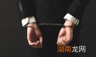 吴谢宇弑母案案情简介 吴谢宇弑母案案情介绍