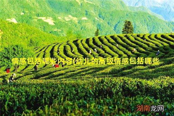 幼儿的高级情感包括哪些内容 情感包括哪些内容