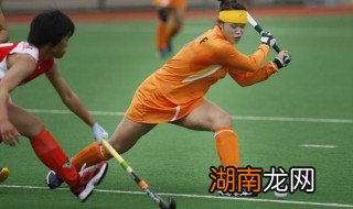 曲棍球规则 曲棍球规则是什么