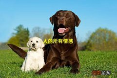人的所有情感