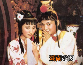 红楼梦中，薛宝钗四试花袭人，为了金玉良缘竭尽所能