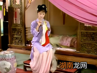 红楼梦中，薛宝钗四试花袭人，为了金玉良缘竭尽所能