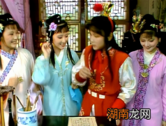 红楼梦中，薛宝钗四试花袭人，为了金玉良缘竭尽所能