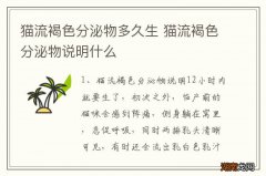 猫流褐色分泌物多久生 猫流褐色分泌物说明什么