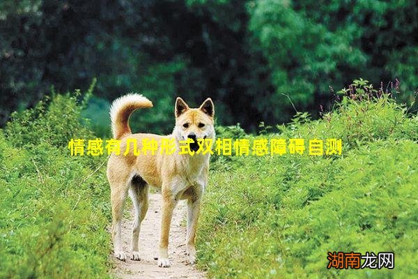 情感有几种形式双相情感障碍自测