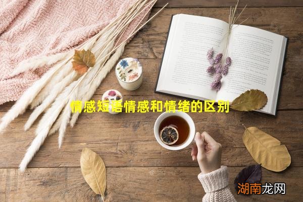 情感短语情感和情绪的区别