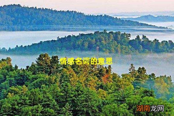 情感名词的意思