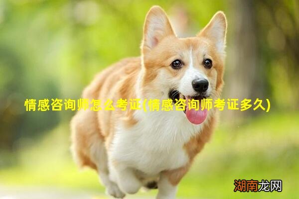 情感咨询师考证多久 情感咨询师怎么考证