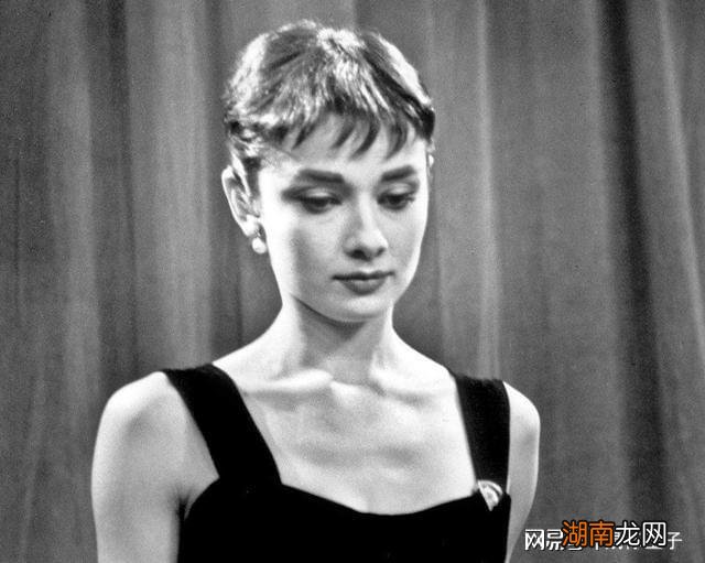 恋爱情感心得体会理智与情感迷你剧