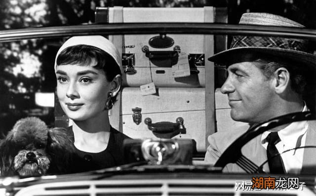 恋爱情感心得体会理智与情感迷你剧