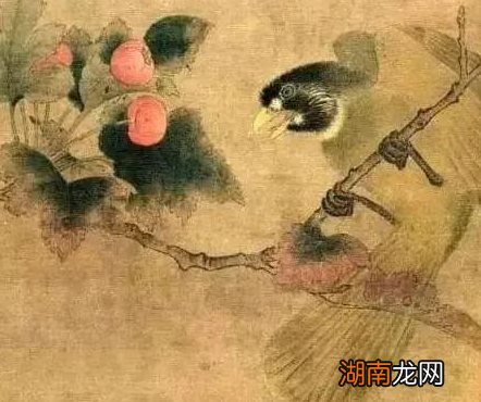 古代的糖是怎么来的 古代会用什么制糖