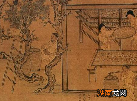 古代的糖是怎么来的 古代会用什么制糖