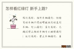 怎样看红绿灯 新手上路？