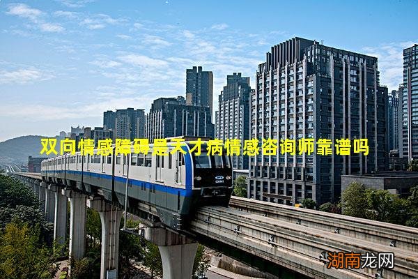 双向情感障碍是天才病情感咨询师靠谱吗