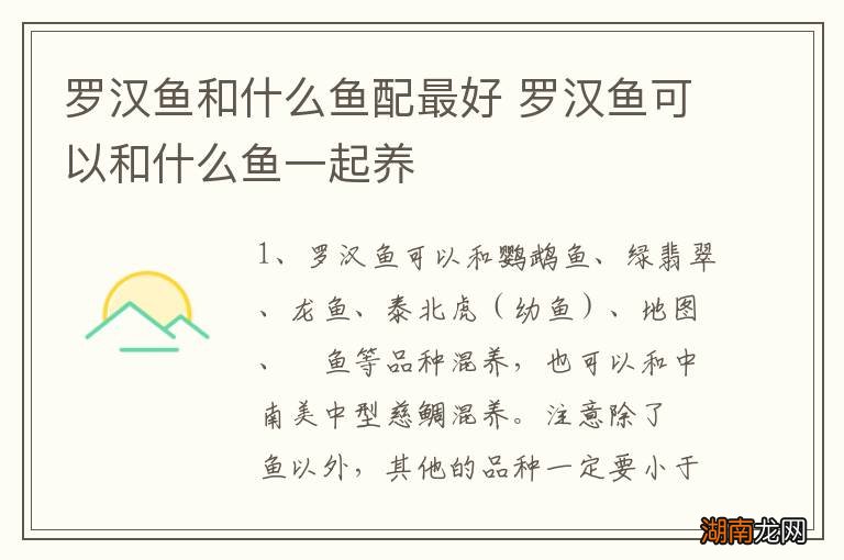 罗汉鱼和什么鱼配最好 罗汉鱼可以和什么鱼一起养